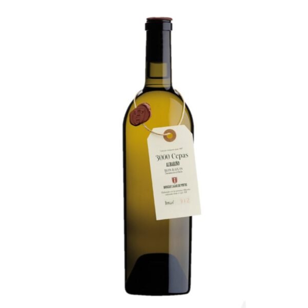 ALBARIÑO 3000 CEPAS