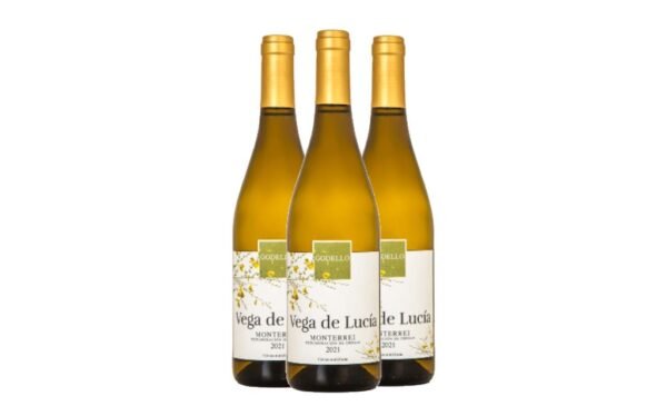 Vega de Lucia Godello